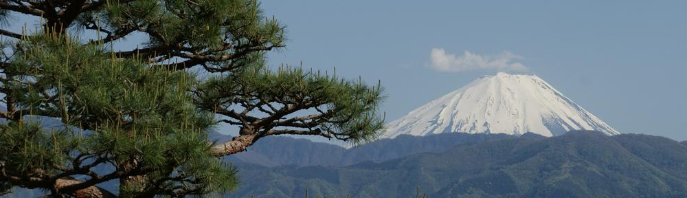 飲み屋街へ行こう　ブログ編